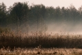 080_Biebrza - kwiecien 2012